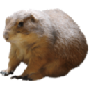 Marmot Hippie Completion